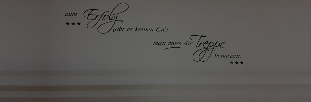 Textilaufbereitung Schmidt, Karriere, Slider